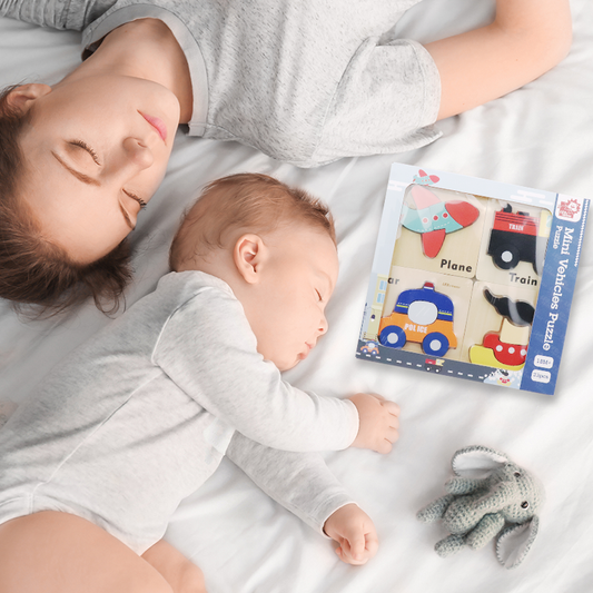 Mini Vehicles Puzzle