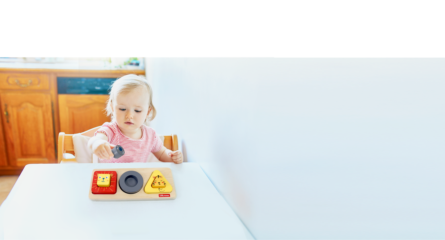 Wooden Animal Shape Puzzle