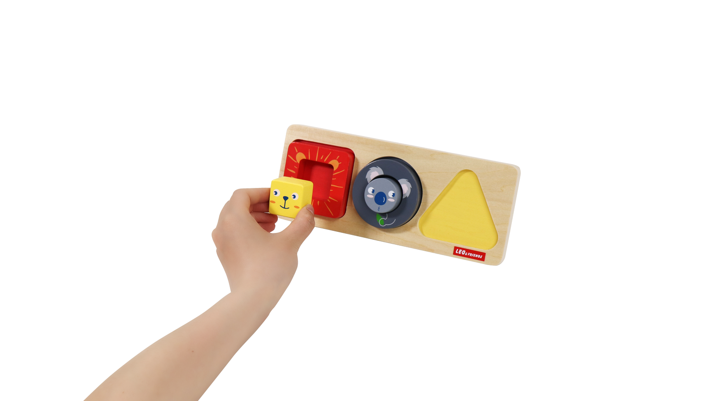 Puzzle météo