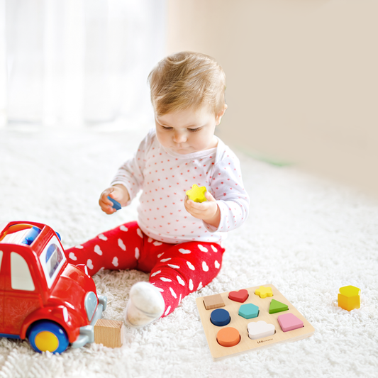 Color And Shape Sorting Puzzle